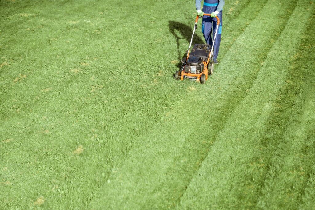 Gardener working with lawn mower on the backyard